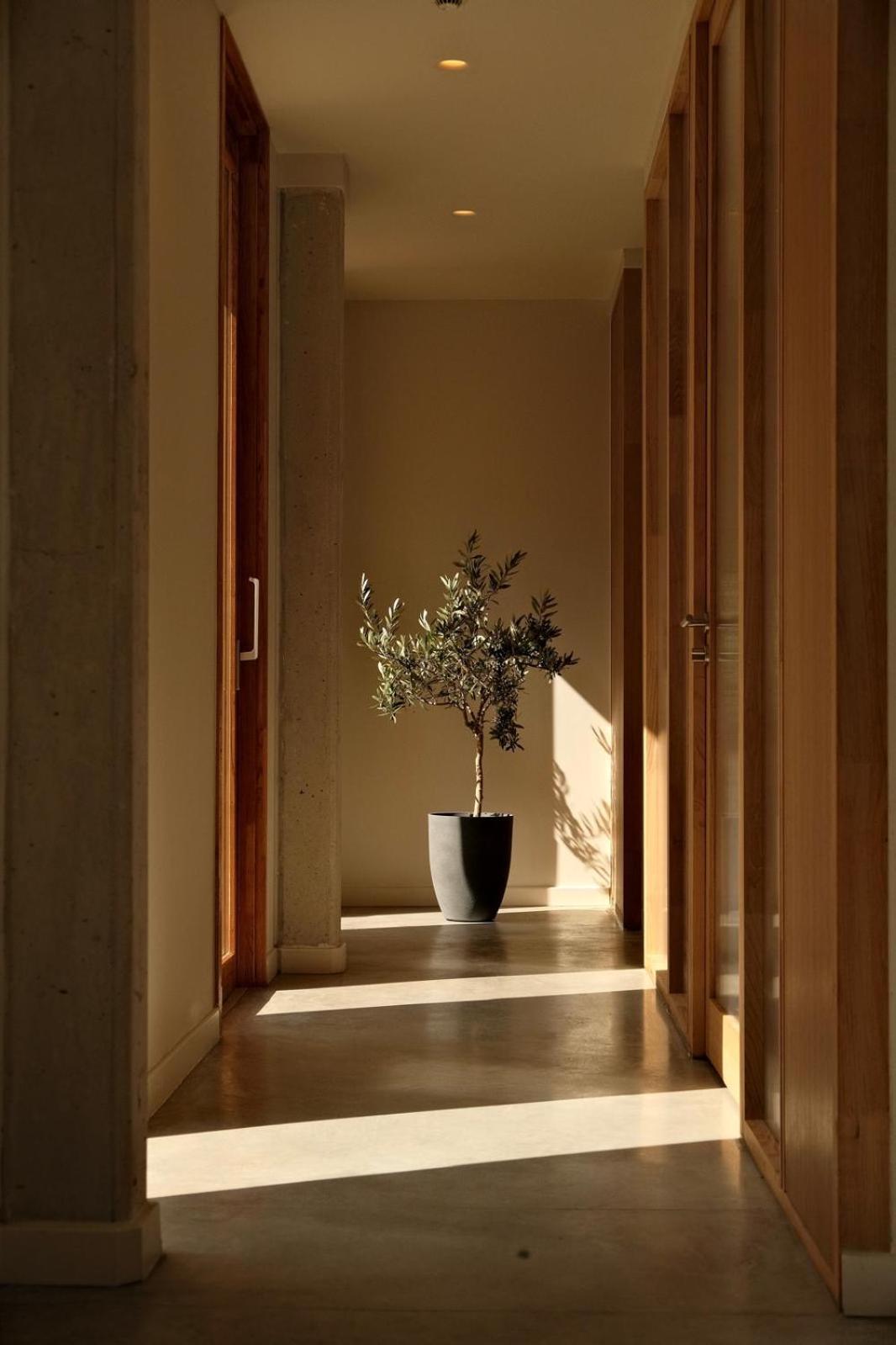 La Maison Gaia Hotel & Spa Torreilles Eksteriør billede